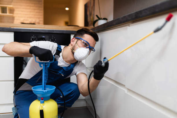 Best Bed Bug Extermination  in Mansfield, OH