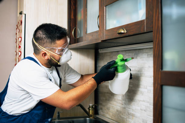 Best Local Pest Control Services  in Mansfield, OH