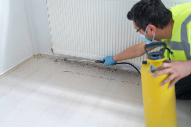 Best Pest Inspection Near Me  in Mansfield, OH