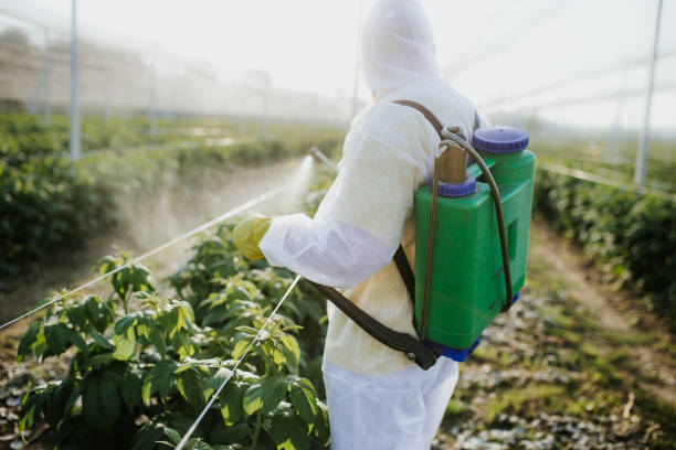 Best Affordable Pest Control Services  in Mansfield, OH
